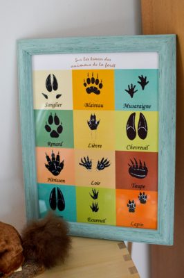 Sweet table thème "Animaux de la forêt" pour fête d'anniversaire d'enfant